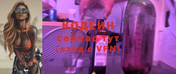 хмурый Белокуриха