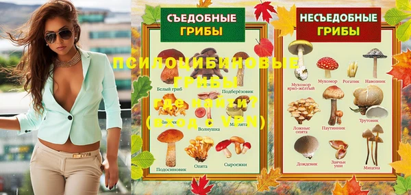 спайс Богородск