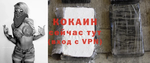 хмурый Белокуриха