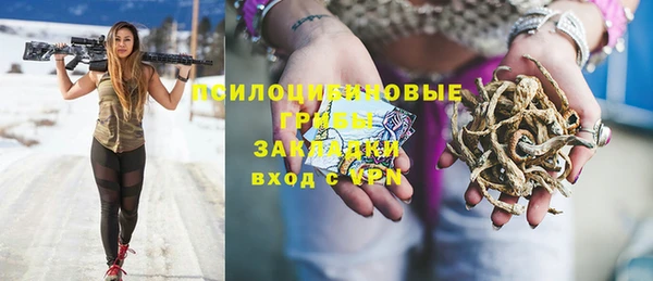 хмурый Белокуриха