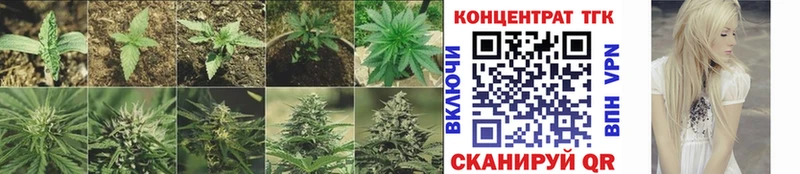ТГК жижа  Зуевка 