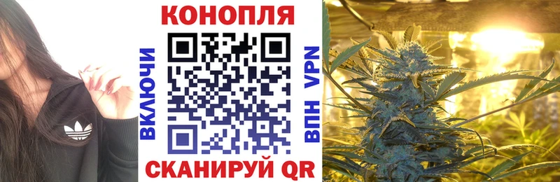 Бошки марихуана THC 21% Зуевка